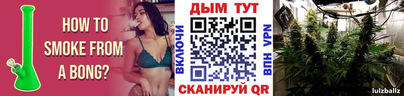 Бошки марихуана White Widow  Купить закладки  Ужур 